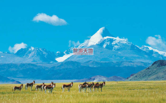 散落的蓝宝石 西藏最不能错过的10个湖泊